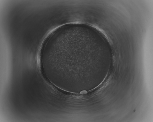 X0000102271319200808081432