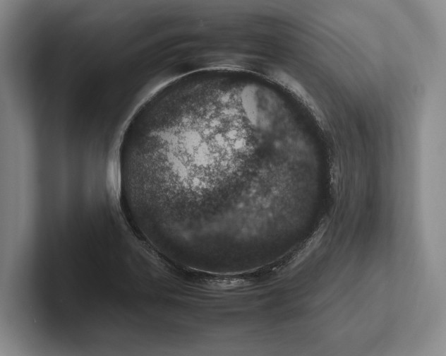 X0000102271323200808081432