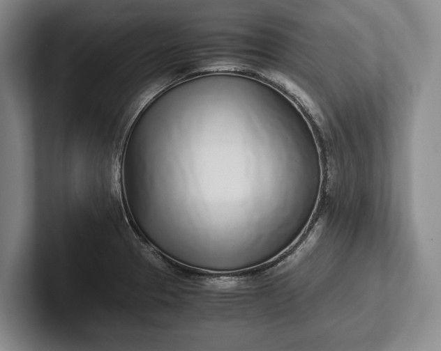 X0000102271329200808081432