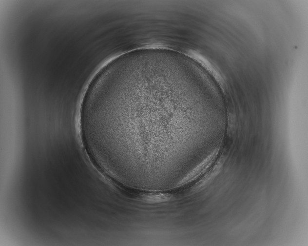 X0000102271331200808081432