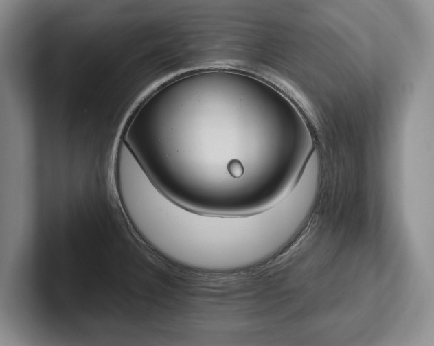 X0000102271332200808081432