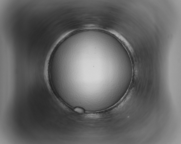 X0000102271333200808081432