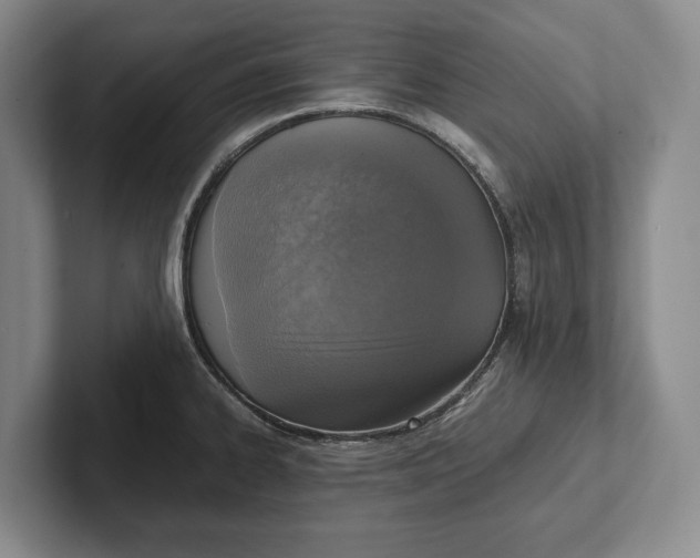 X0000102271334200808081432
