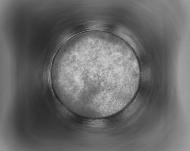 X0000102271338200808081432