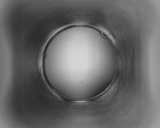 X0000102271343200808081433