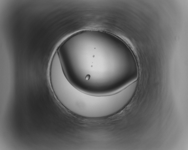 X0000102271344200808081433