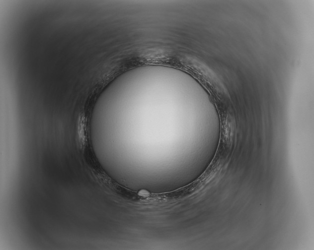 X0000102271346200808081432