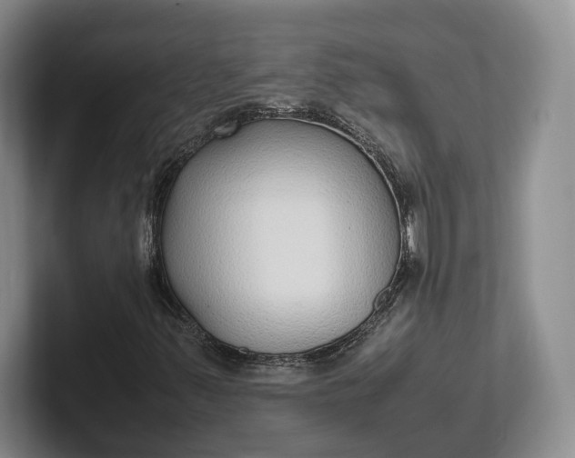 X0000102271347200808081432