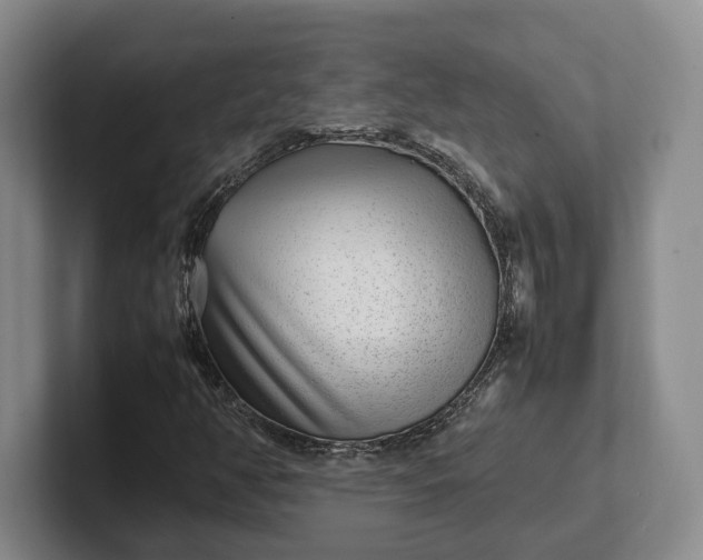 X0000102271350200808081432