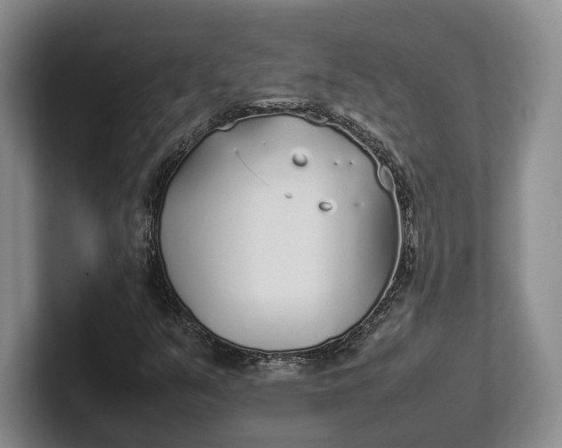 X0000102271351200808081432