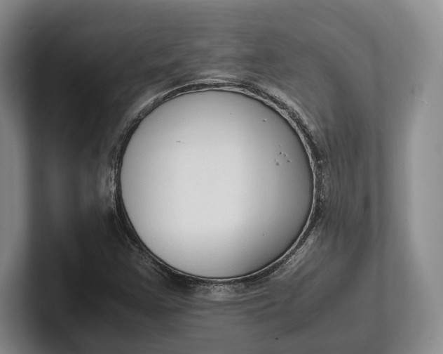 X0000102271355200808081432