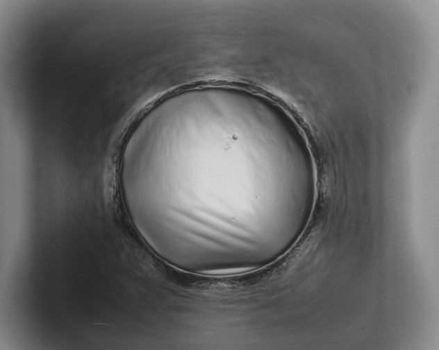 X0000102271359200808081432