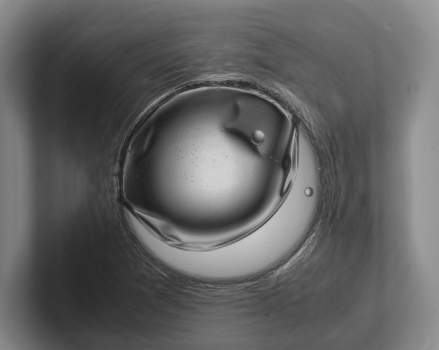 X0000102271361200808081432