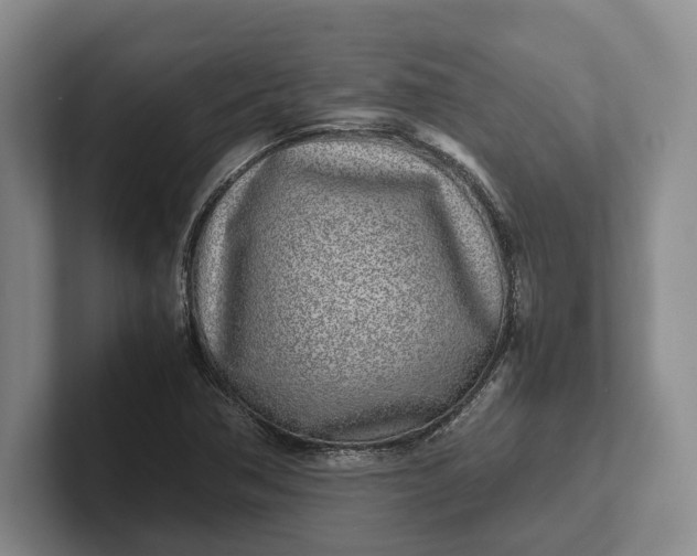 X0000102271362200808081432