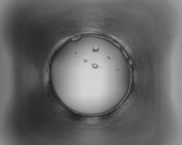 X0000102271363200808081432