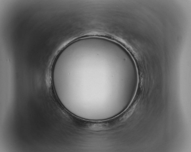 X0000102271367200808081432