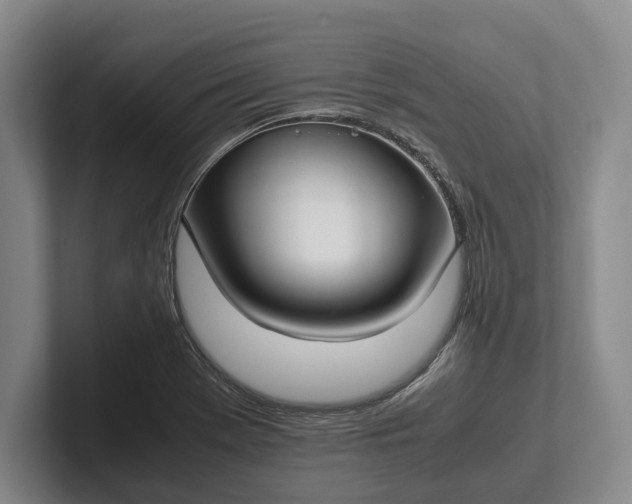 X0000102271369200808081432