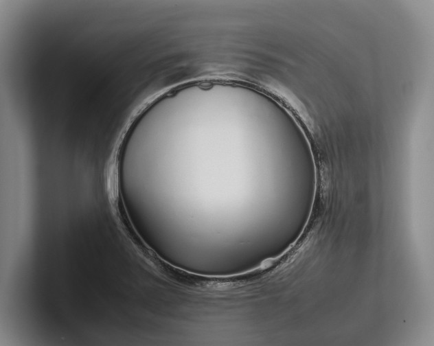 X0000102271371200808081432