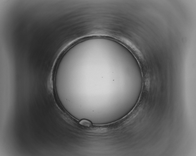 X0000102271372200808081431