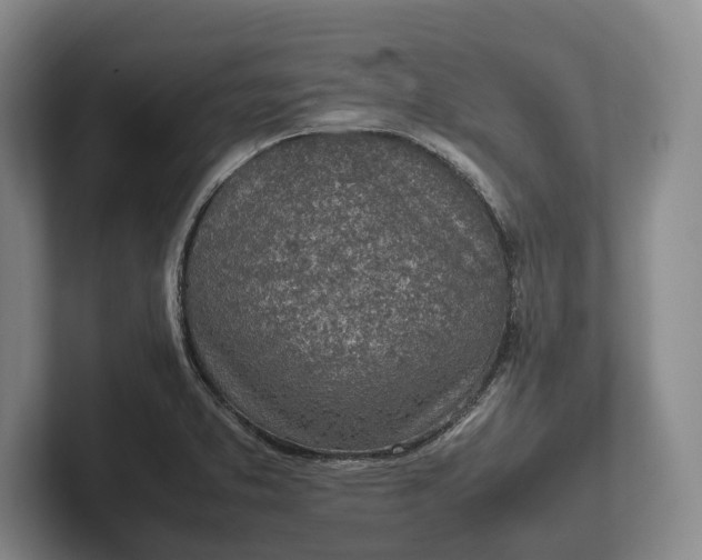 X0000102271373200808081431