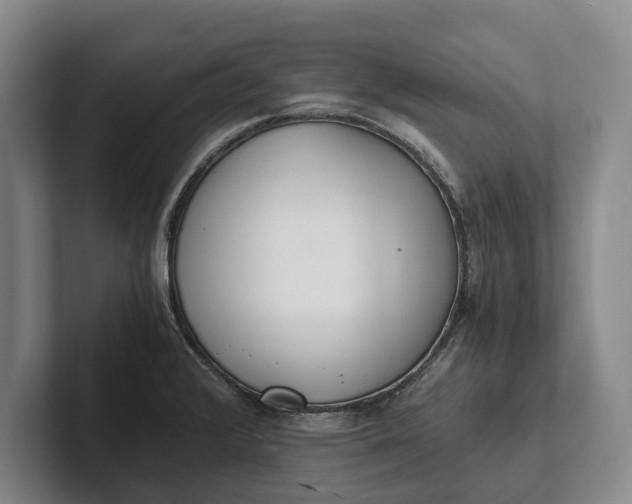 X0000102271376200808081431