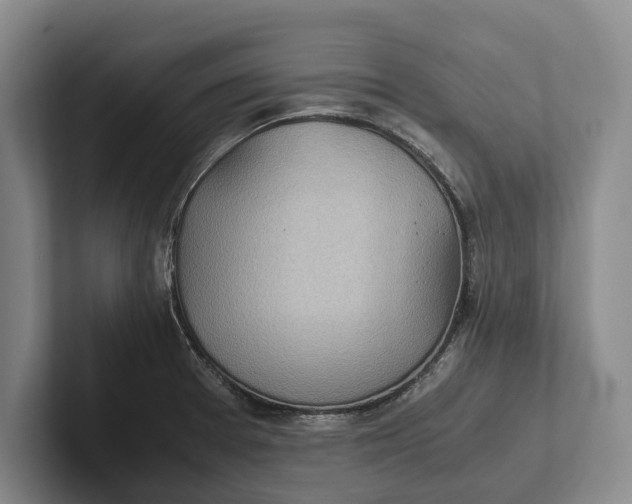 X0000102271377200808081431