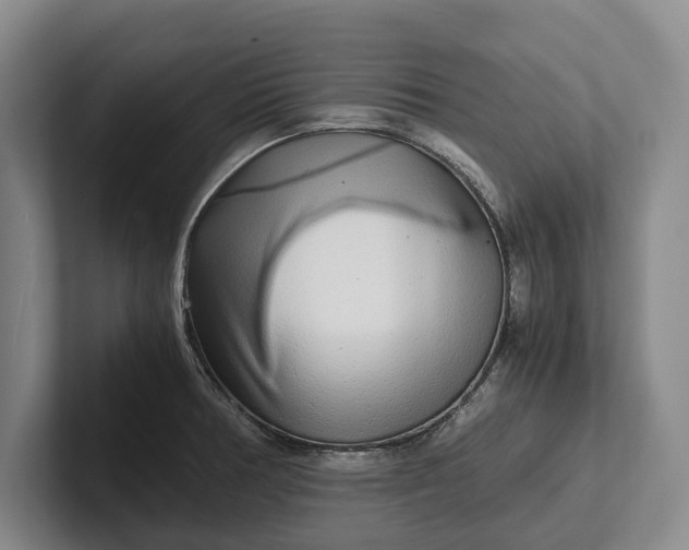 X0000102271378200808081431