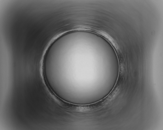X0000102271379200808081431