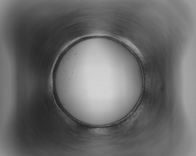X0000102271380200808081431