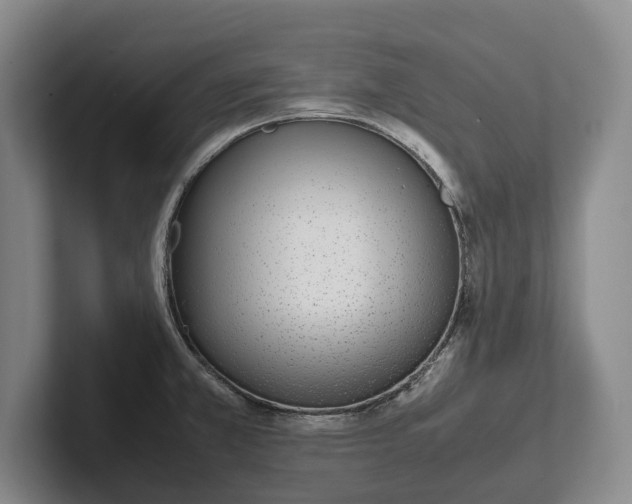 X0000102271381200808081431