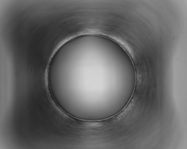 X0000102271382200808081431