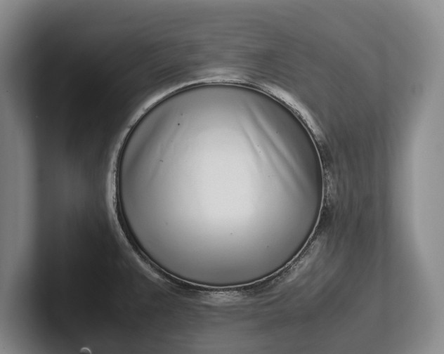 X0000102271383200808081431