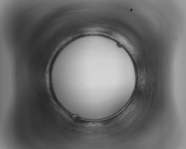 X0000102271384200808081431