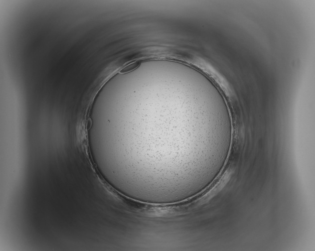 X0000102271385200808081431