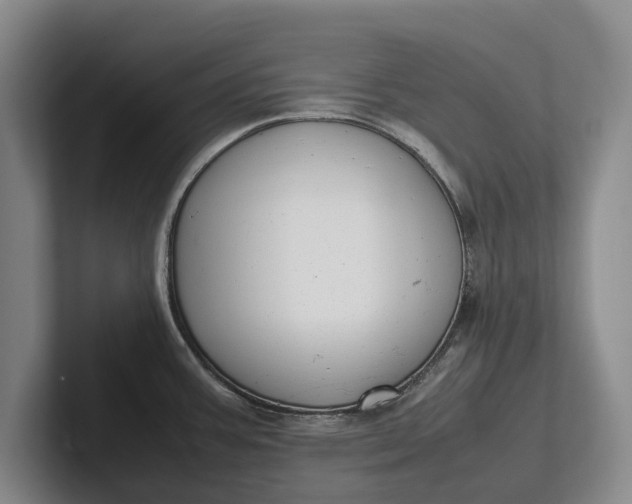 X0000102271387200808081431