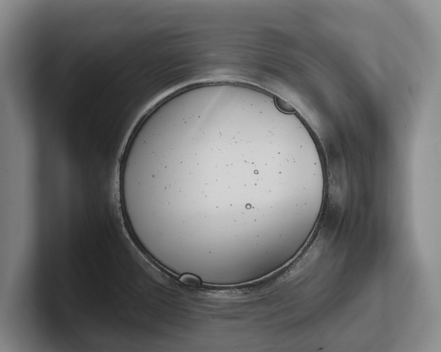 X0000102271388200808081431