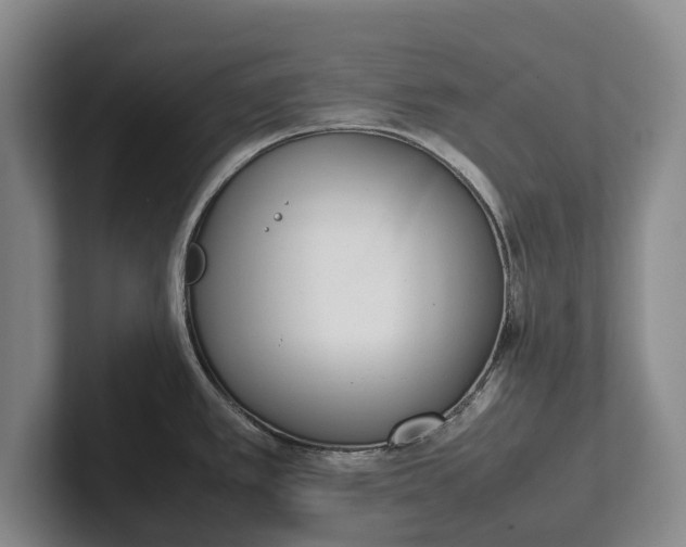 X0000102271389200808081431