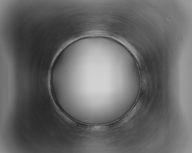 X0000102271390200808081431