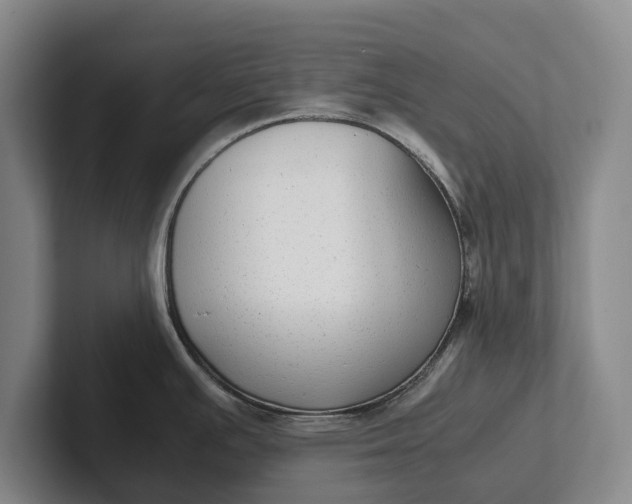 X0000102271391200808081431