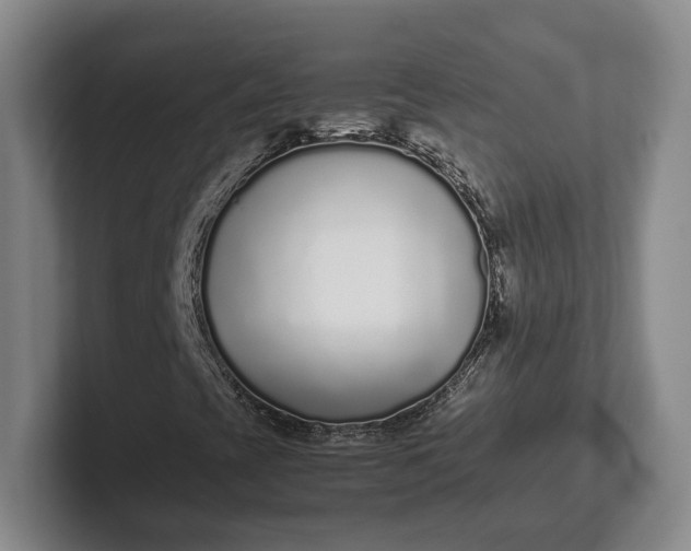X0000102271393200808081431