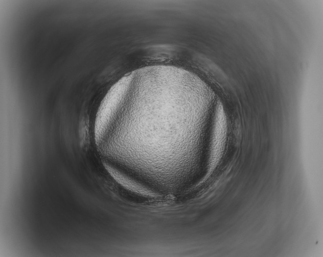 X0000102271394200808081431