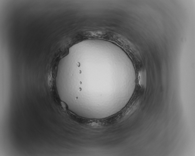 X0000102271395200808081431