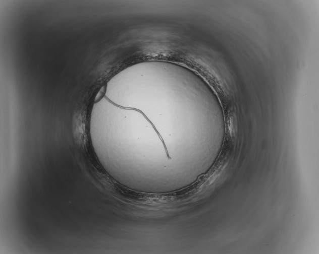 X0000102271396200808081431