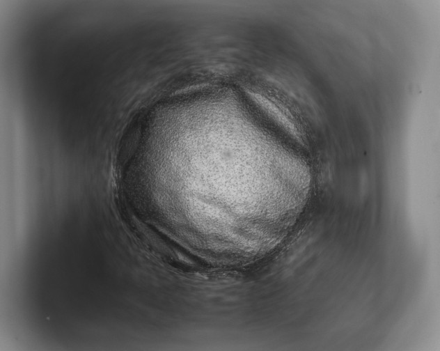 X0000102271397200808081431