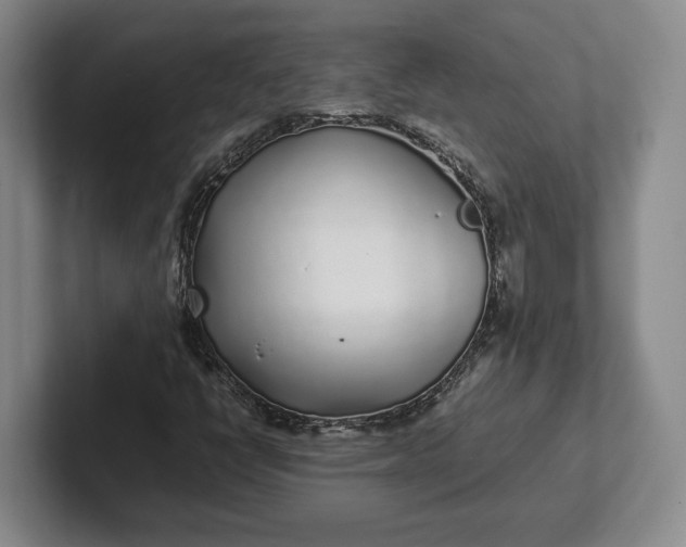 X0000102271398200808081431