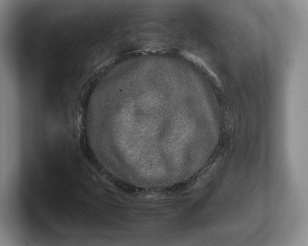 X0000102271399200808081431