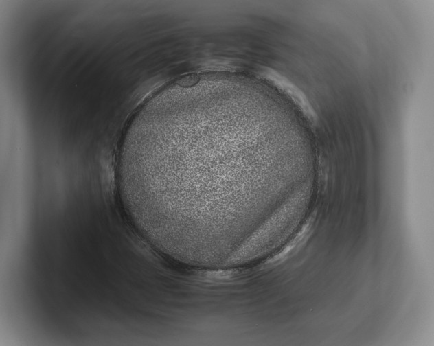 X0000102271401200808081431