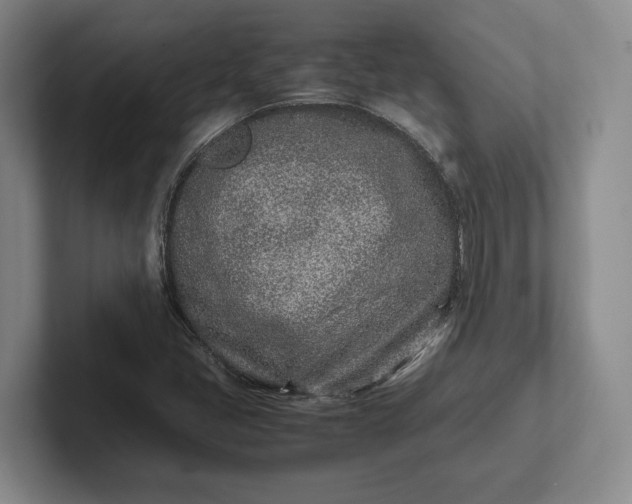 X0000102271405200808081431