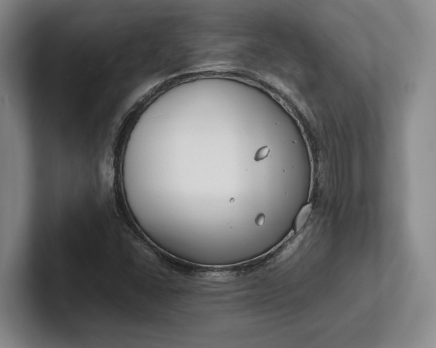 X0000102271406200808081431
