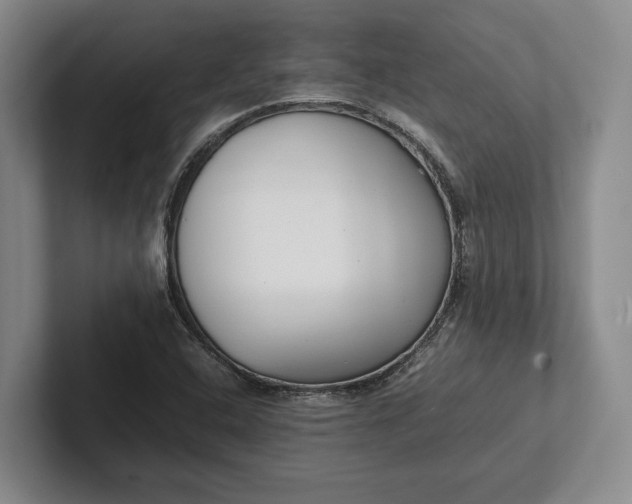 X0000102271408200808081431